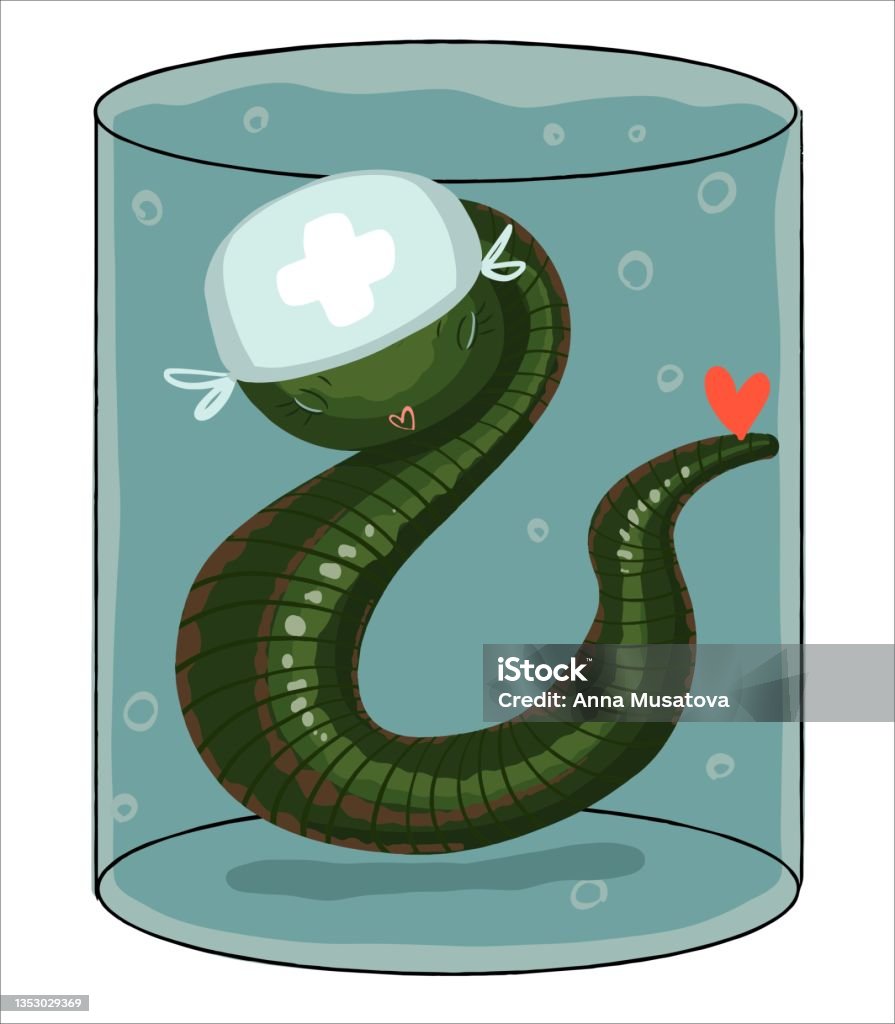 Nhân Vật Con Đỉa Y Tế Dễ Thương Đội Mũ Bác Sĩ Hình minh họa Sẵn có ...