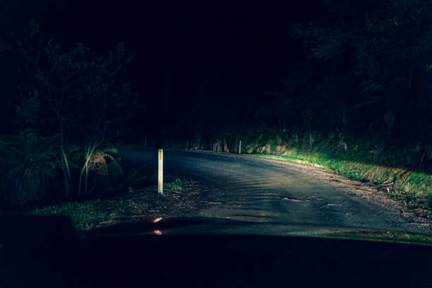 istock Driving through a forest in Australia at night. 1353030361