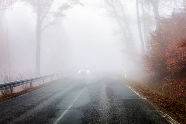 istock Autumnal road through forest - fog 1353031836