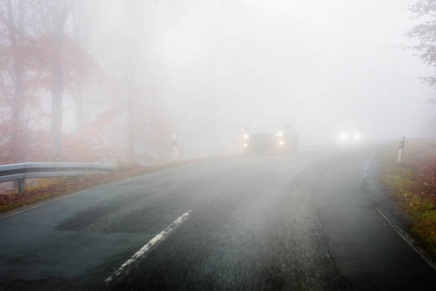 istock Autumnal road through forest - fog 1353031847