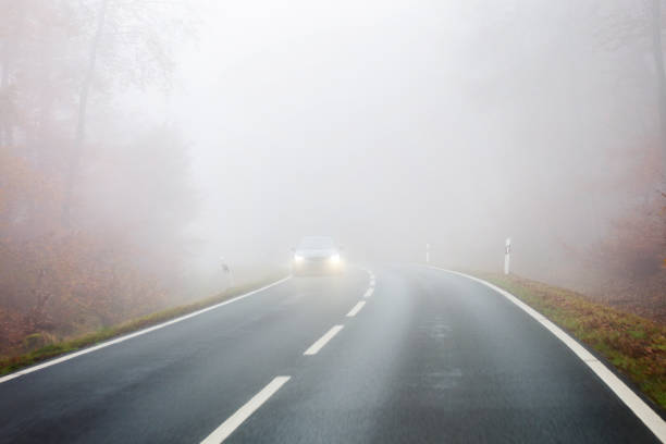 istock Autumnal road through forest - fog 1353031862