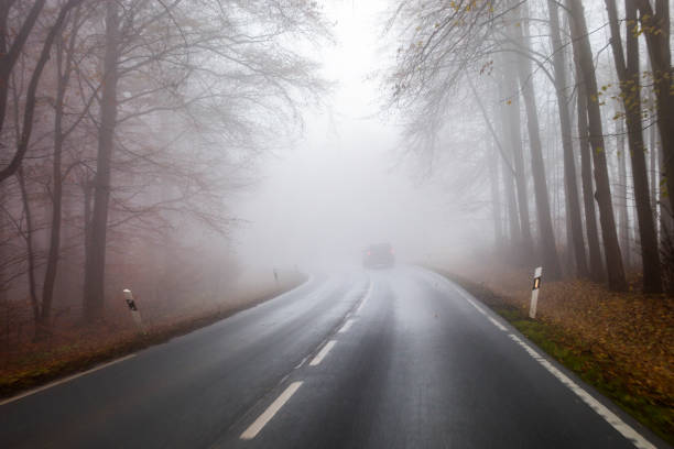 istock Autumnal road through forest - fog 1353031865