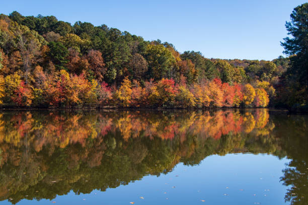 istock Autumn in Little Muberry Park, GA 1353035124