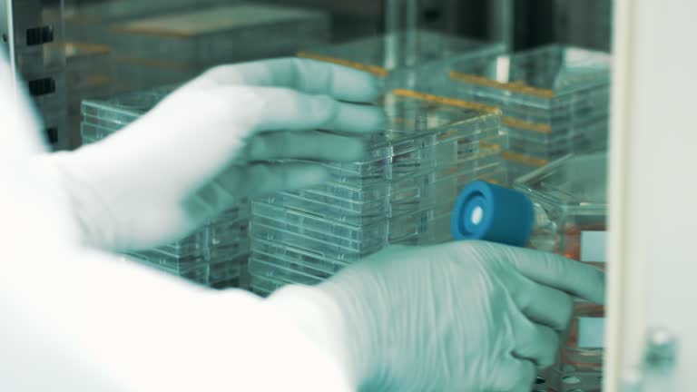 Cell culture plates and flasks in a cooling incubator