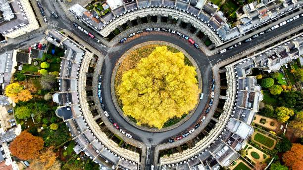 istock Aerial View Of The Circus Bath 1353038360