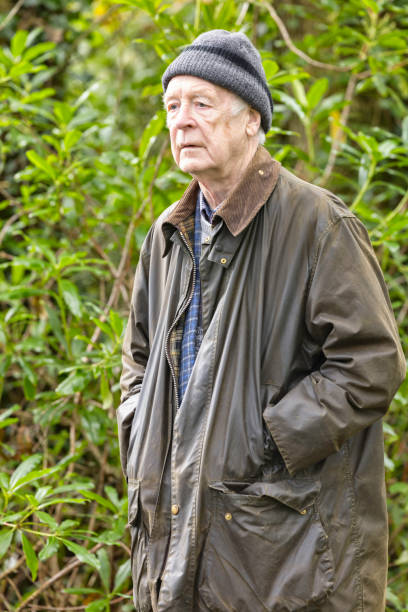 istock Old man in the woods 1353040136