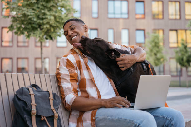 счастливый афроамериканец-фрилан�сер, использующий ноутбук, работающий онлайн, обнимающийся с очаровательным питомцем. собака лабрадора о� - pets stroking licking love стоковые фото и изображения