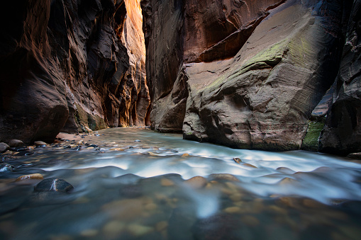 Red Mountains of Zion National Park on a summer day, Utah.