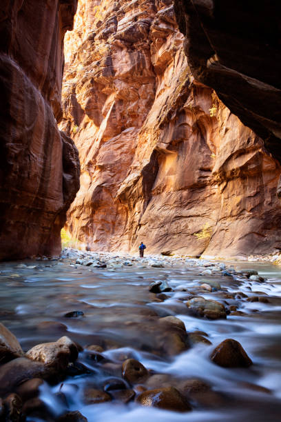 Utah canyon River flowing deep in the Narrows, Zion National Park - Utah zion river stock pictures, royalty-free photos & images