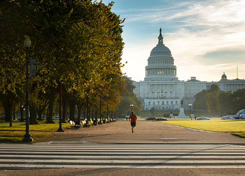 Capitol building and the National Mall - Washington DC