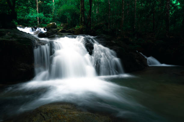 istock Khao Yai National Park 1353051290