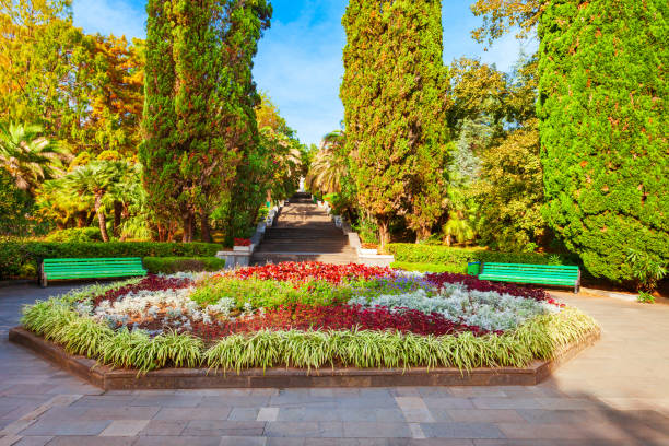 istock Sochi Arboretum park in Russia 1353058123