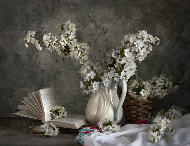 Cherry blossoms in white vase on gray background. Springtime still life.