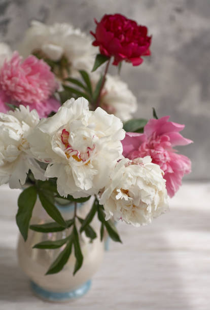 istock Still life with white and pink peonies in a white vase 1353063489