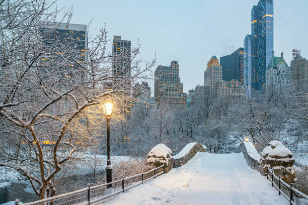 istock Gapstow Bridge in Central Park after snow storm 1353063701