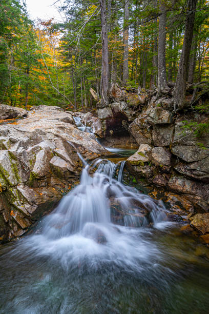 istock Along the Kancamagus Highway 1353063716