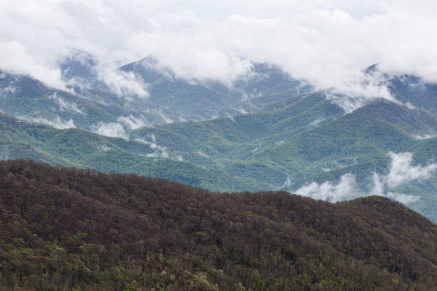 istock Spring Landscape near the Blue Ridge Parkway, NC 1353063873