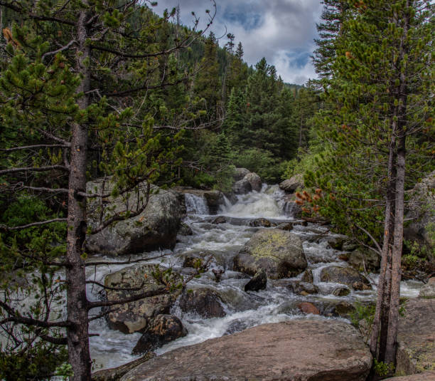 istock Upper Copeland Falls, Rocky Mountain National Park 1353071236
