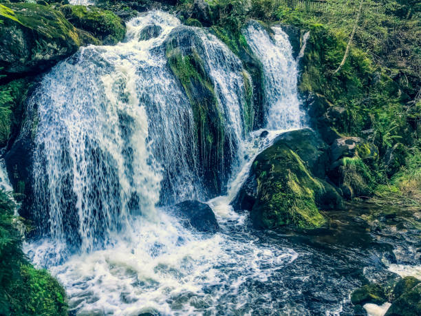 istock The waterfalls in the Black Forest. 1353072924