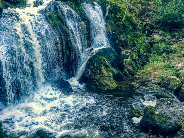 istock A small stony river with waterfalls in the Black Forest. 1353073015