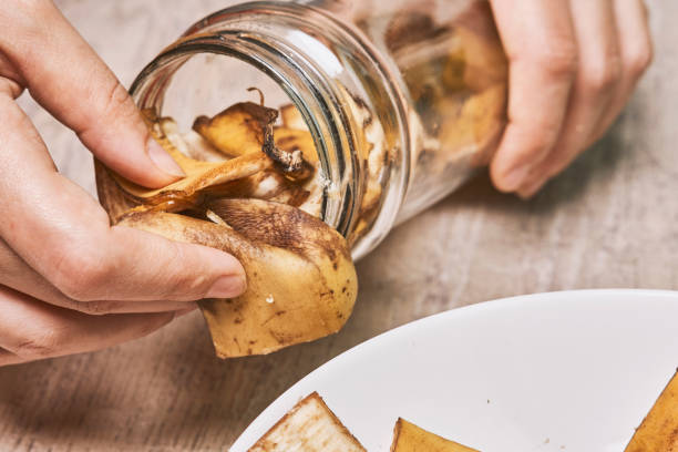 Making banana peel fertilizer A person making banana peel fertilizer with banana cuts. Putting small pieces of banana skin into the glass jar and pouring water banana peel stock pictures, royalty-free photos & images