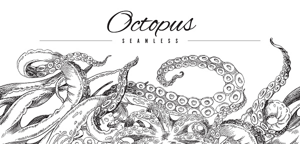 Seamless octopus pattern. Horizontal border, black and white hand drawn horizontal vector illustration of octopus isolated on white background. Seamless sketch.