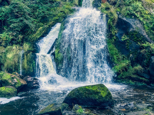 istock A small stony river with waterfalls in the Black Forest. 1353077758