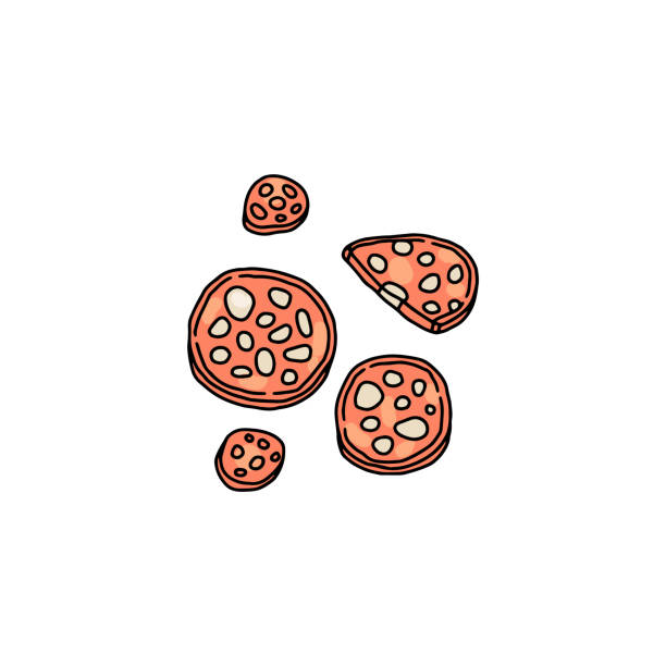 ilustrações de stock, clip art, desenhos animados e ícones de slices of salami or chorizo sausage color vector illustration isolated. - pepperoni