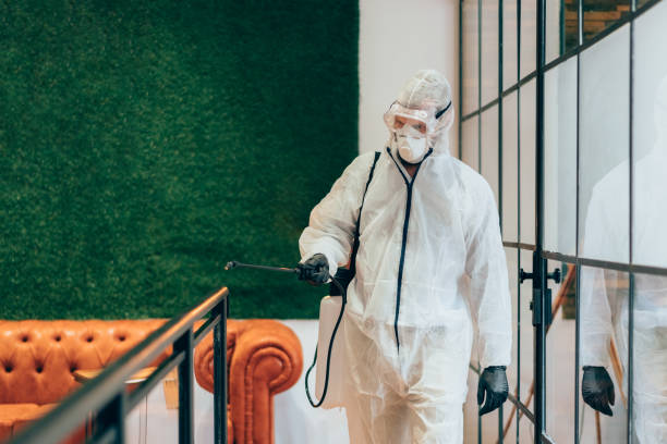 istock Office disinfection during COVID-19 pandemic 1353079384