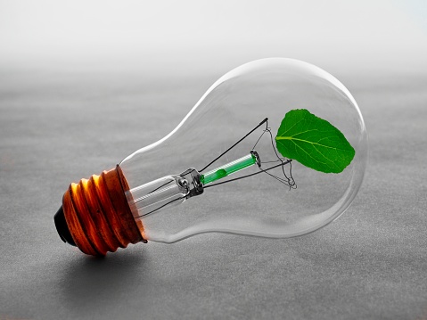 A vintage incandescent light bulb has become green as an apparent leaf has grown inside the bulb. A concept image of the green wave of energy transfer to renewable sources.