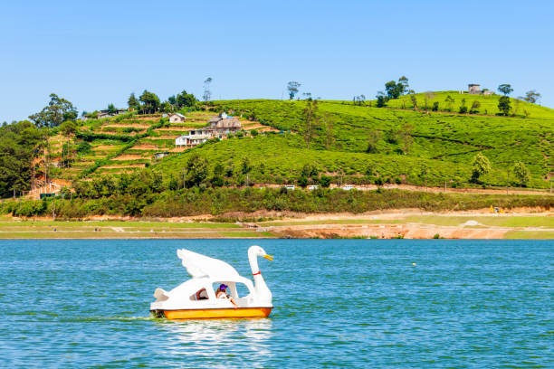 lake gregory - nuwara elia - fotografias e filmes do acervo