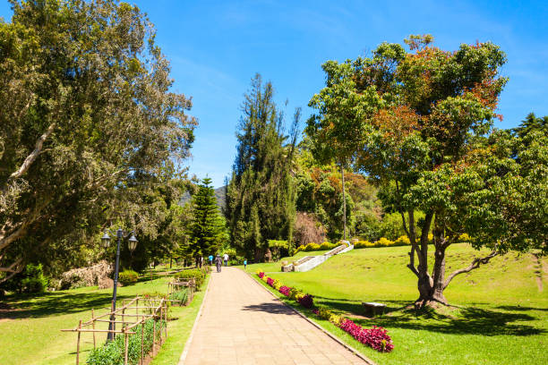 istock Victoria Park, Nuwara Eliya 1353086927