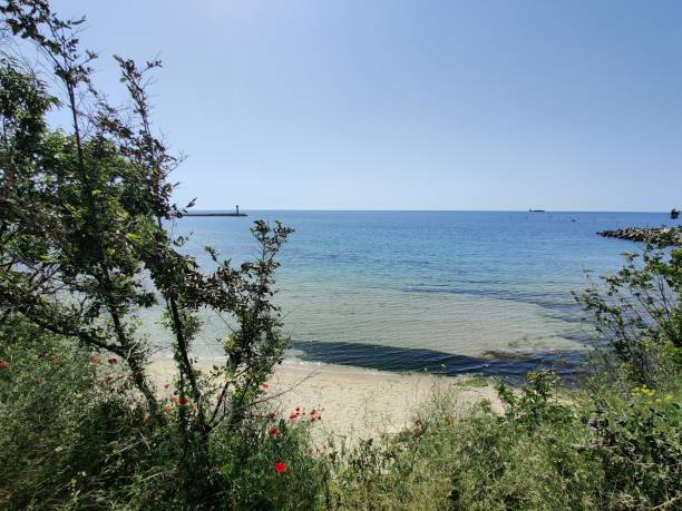 istock Varna city and Black sea 1353090180