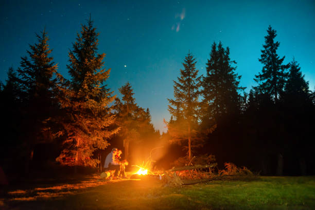 istock Bonfire in night forest with people 1353091288