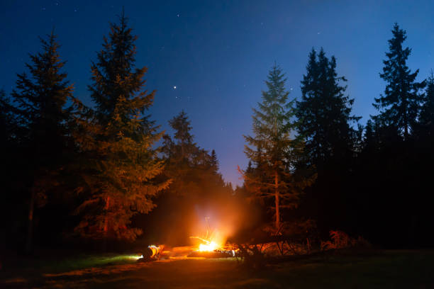 istock Bonfire in night forest with people 1353091806