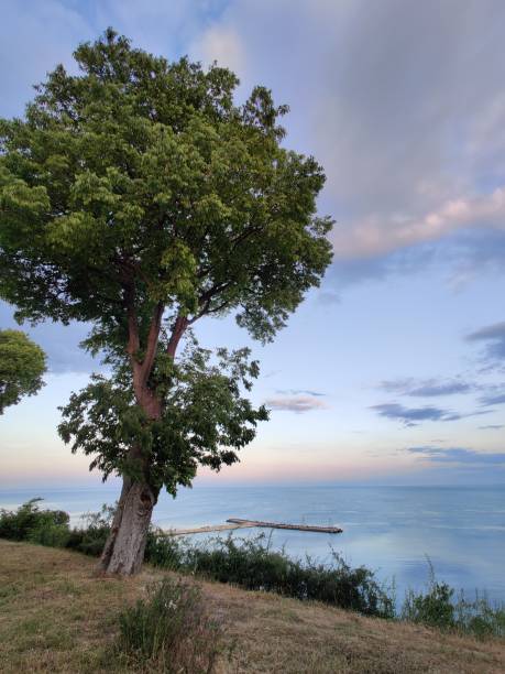 istock Varna city and Black sea 1353091895