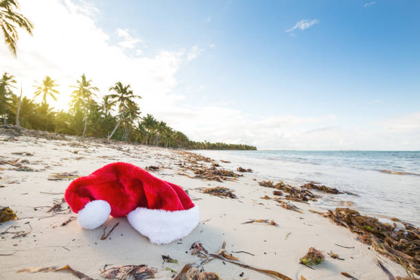 istock Coconut palm trees an pristine bounty beach 1353093041