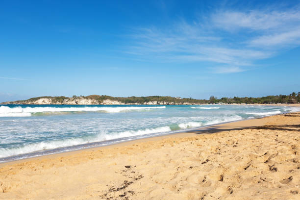 istock Wild caribbean beach of Atlantic ocean 1353093101