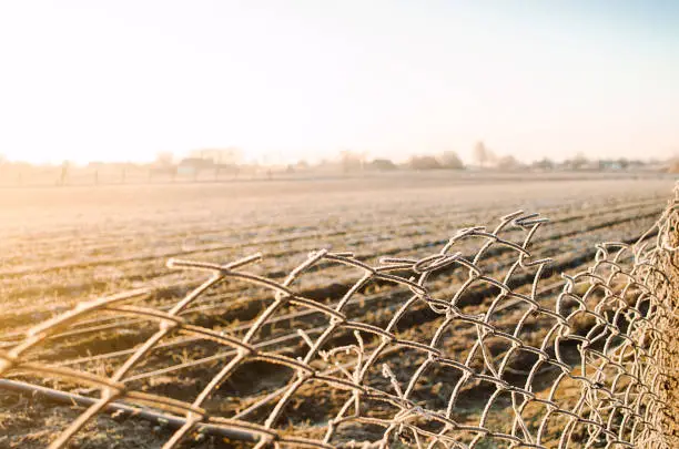 Photo of Winter farm field through view a mesh fence. Beautiful sunrise in countryside. Frost on fence grate, frosty cold. Property fencing and cattle barriers. Sunny day. Agricultural industry farming