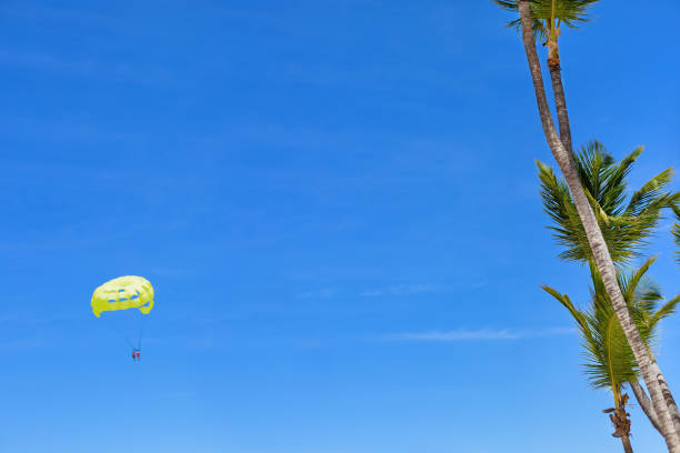 istock Parasailing couple on blue sky background with tall coconut palm trees 1353093425