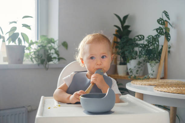 Baby feeding A baby making its first attempts to eat by itself. An infant sitting in highchair in dinning room, holding a spoon and eating baby bib stock pictures, royalty-free photos & images