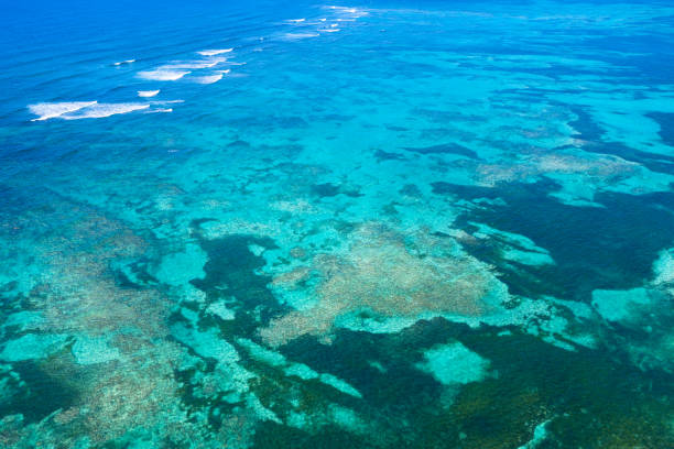 istock Aerial view from drone on Atlantic ocean with reef and waves, caribbean destinations 1353093619