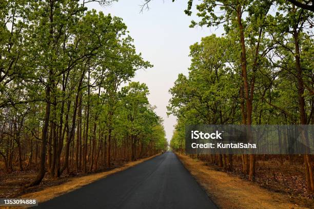 Two Lane State Highway In Countryside Of West Bengal India Stock Photo - Download Image Now