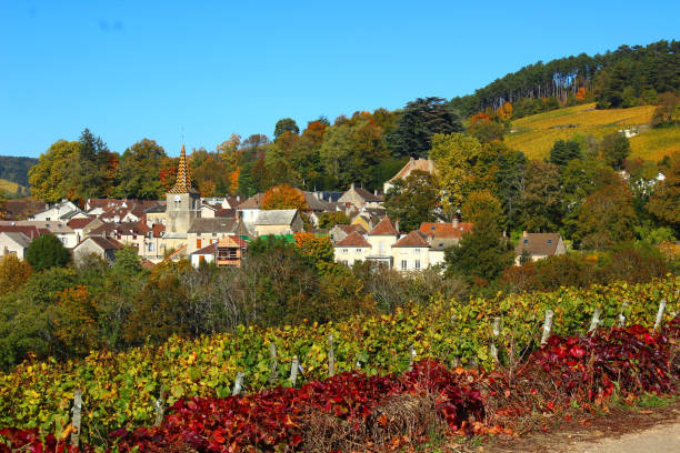 Pernand Vergelesses in autumn Burgundy vineyards wich take on yellow orange colors during the Indian summer in autumn, Pernand Vergelesses, Burgundy, France burgundy france stock pictures, royalty-free photos & images