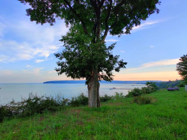 istock Varna and amazing Black sea in Bulgaria 1353097751