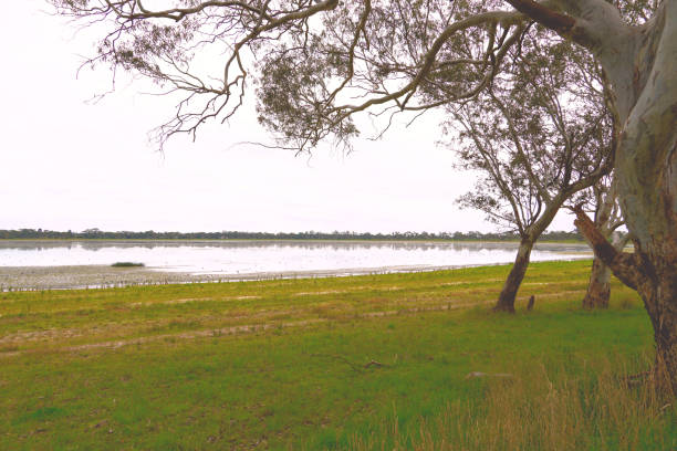 istock Edenhope,  Wimmera, Victoria, Australia 1353099113