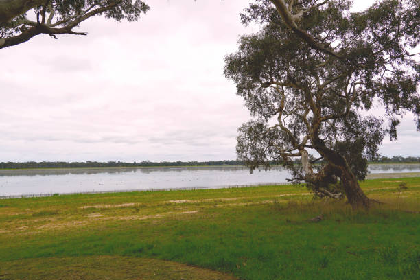 istock Edenhope,  Wimmera, Victoria, Australia 1353099160