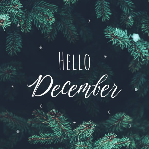 istock closeup of pine branches with lettering Hello December 1353104386