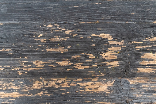 Black paint peeled off on old wood planks revealing the light color of the wood. Reference material for artists.