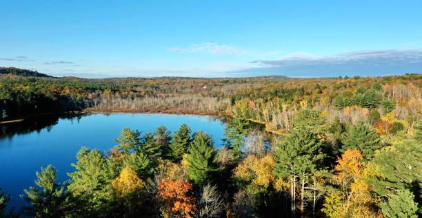 istock Beautiful pond in Maine 1353110790